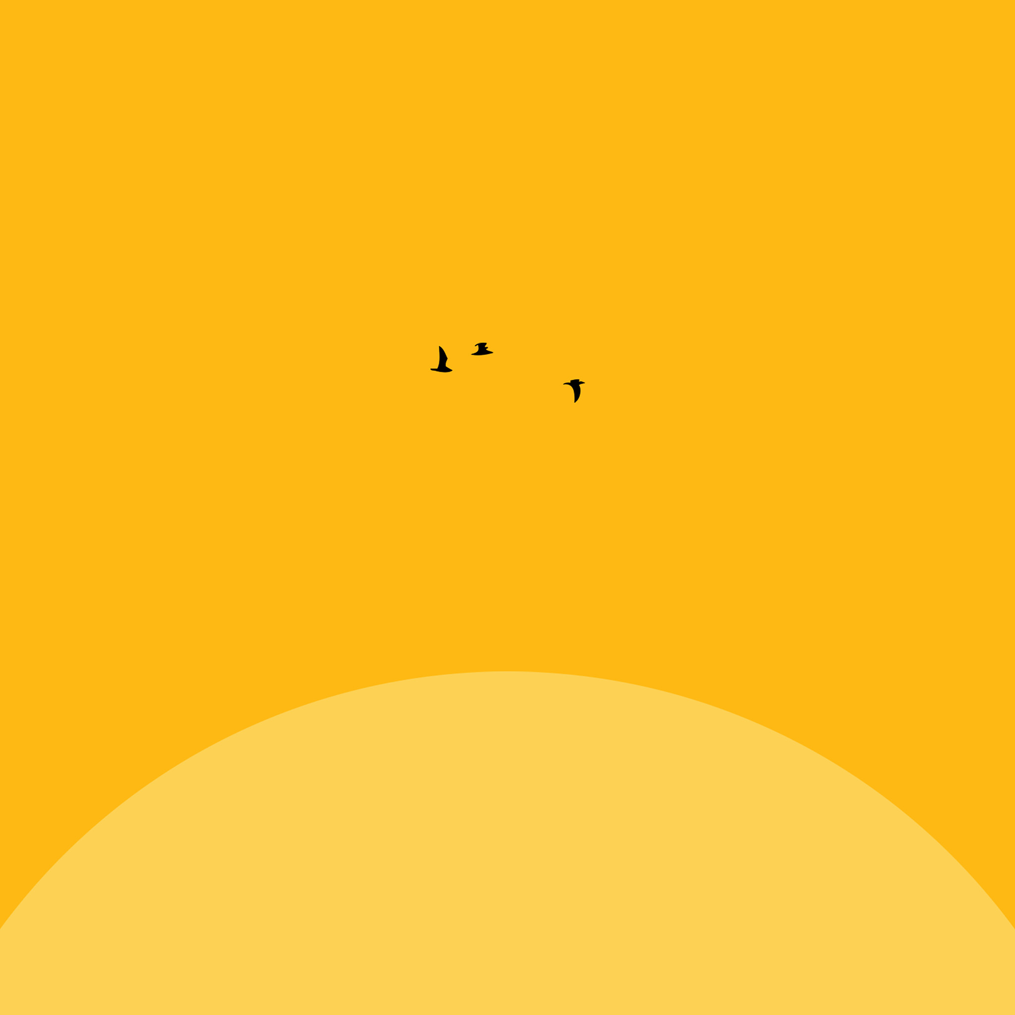 My Image 14