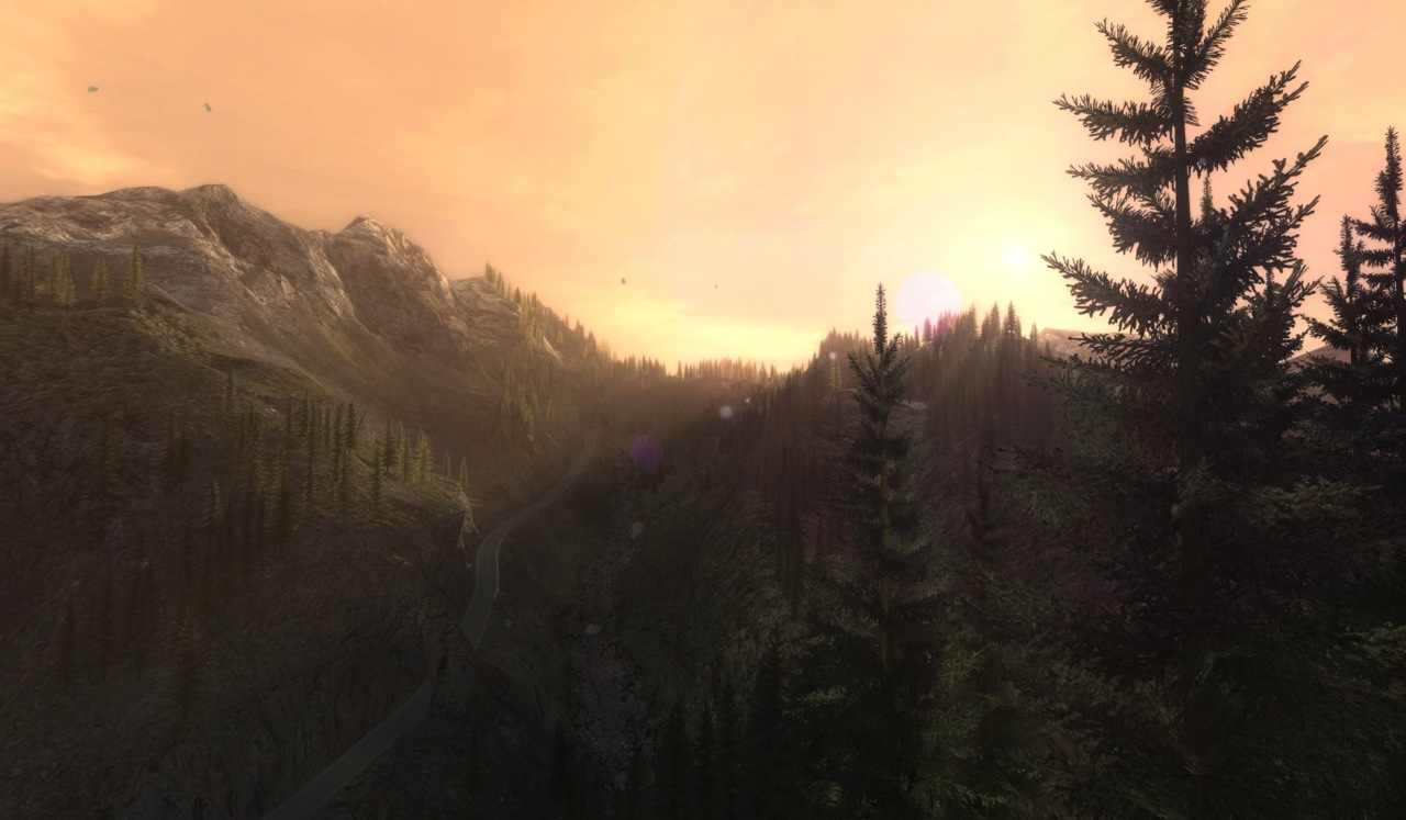 ~alan Wake~ - Alan Wake Forest - HD Wallpaper 