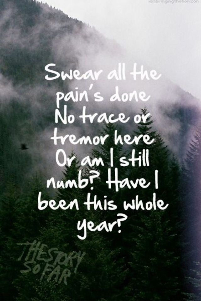 The Story So Far Wallpaper 640x960 Wallpaper teahub.io