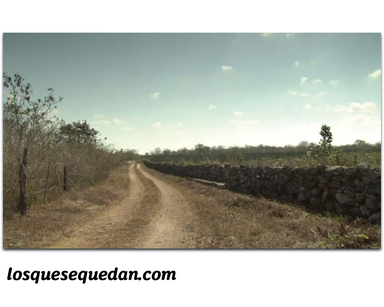 Dirt Road - HD Wallpaper 