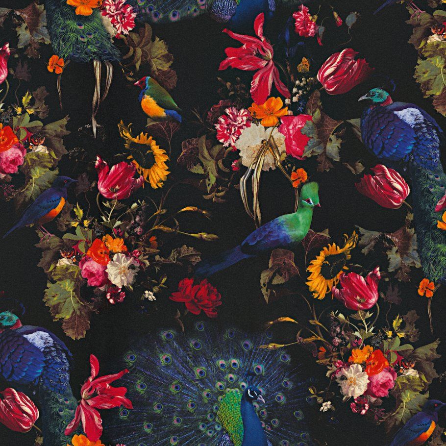 Papier Peint Noir Fleurs - HD Wallpaper 