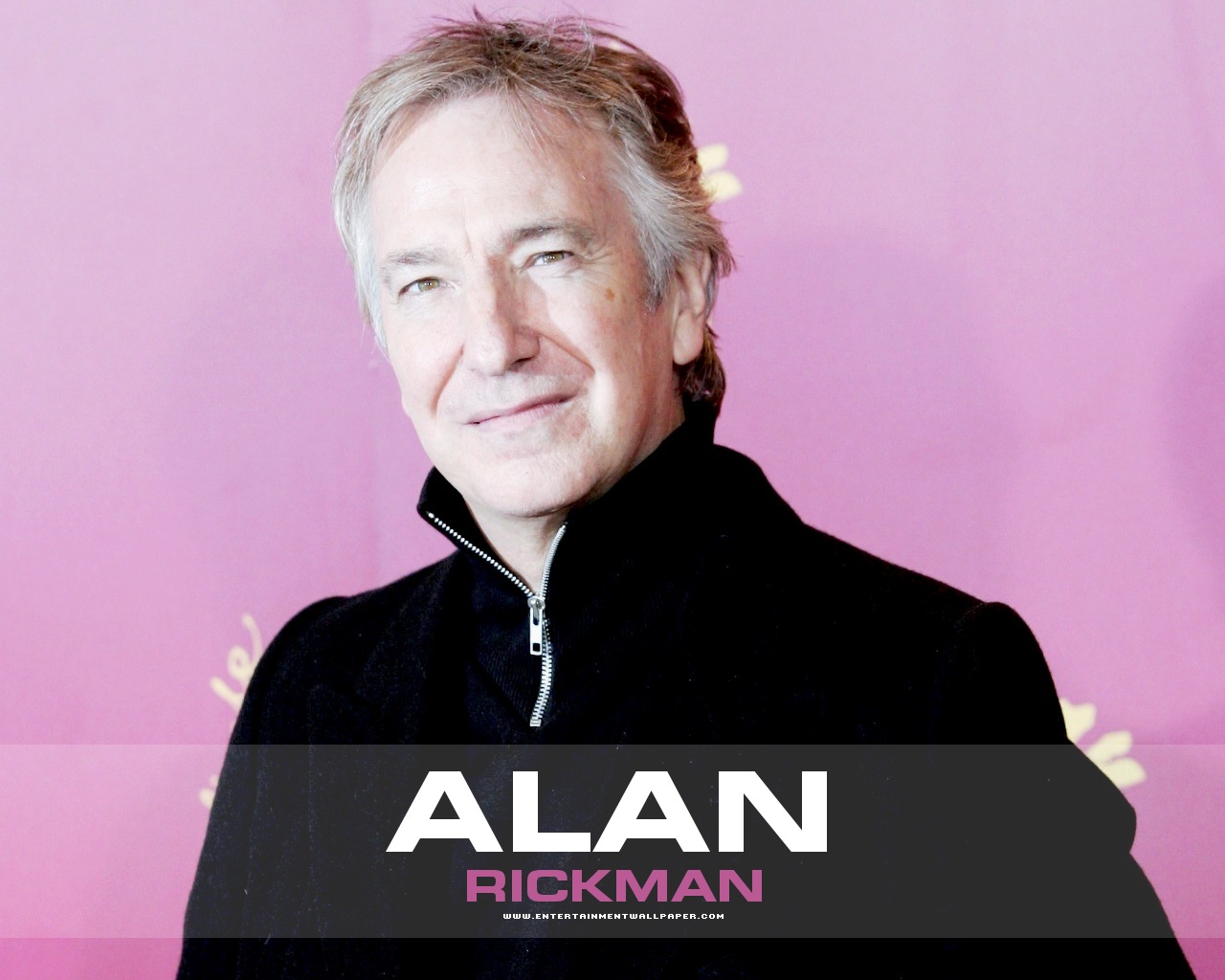 Alan Rickman - Picture Gallery - Alan Rickman - HD Wallpaper 