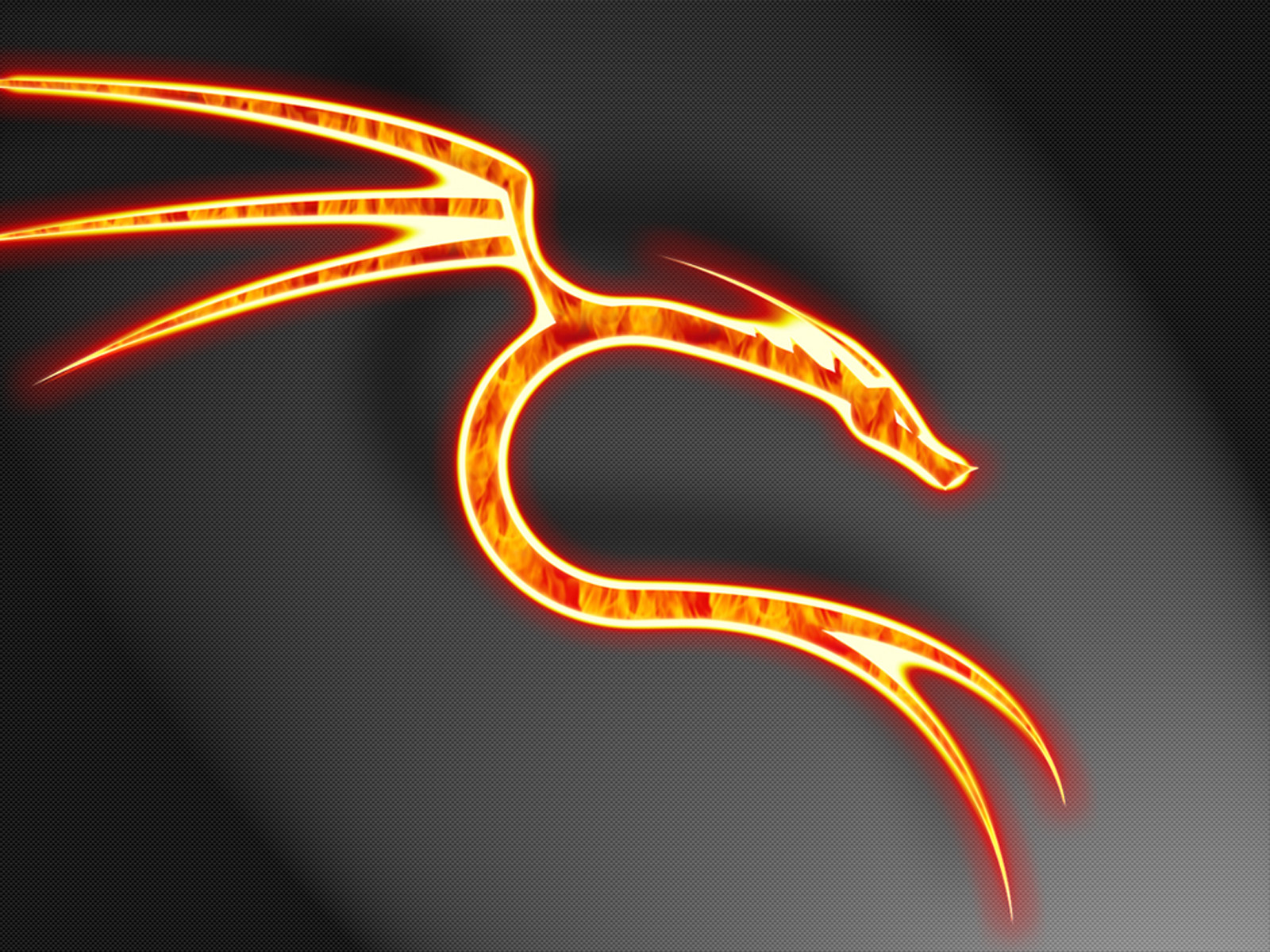 Fire Dragon, Wallpapers For Desktop, Dragon Fire - Kali Linux Dragon Logo - HD Wallpaper 