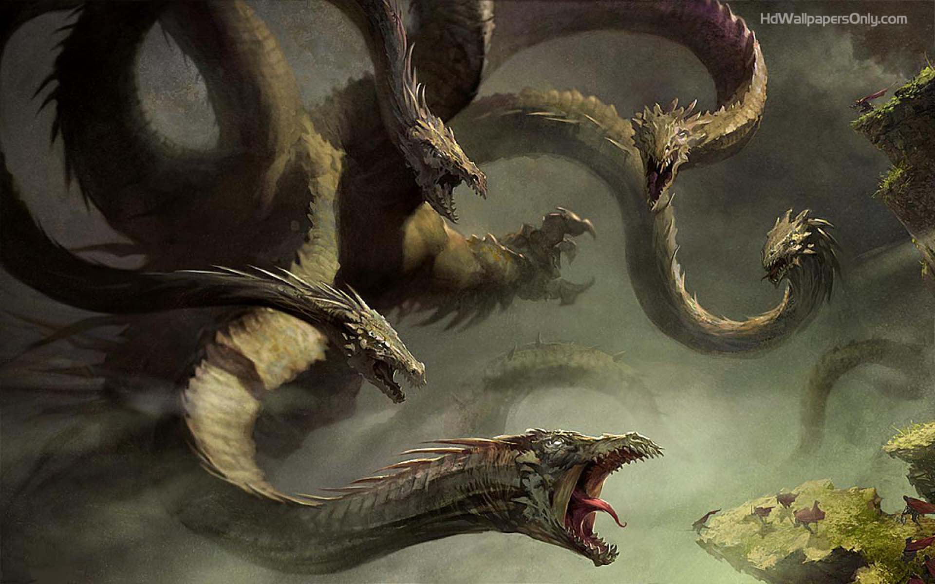 Hydra Hd - HD Wallpaper 