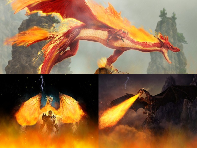 Windows 7 Fire Dragon Animated Wallpaper - Small Fire Dragon - 800x600 Wallpaper Windows 7 Fire Dragon Animated Wallpaper - Small Fire Dragon - 800x600 Wallpaper