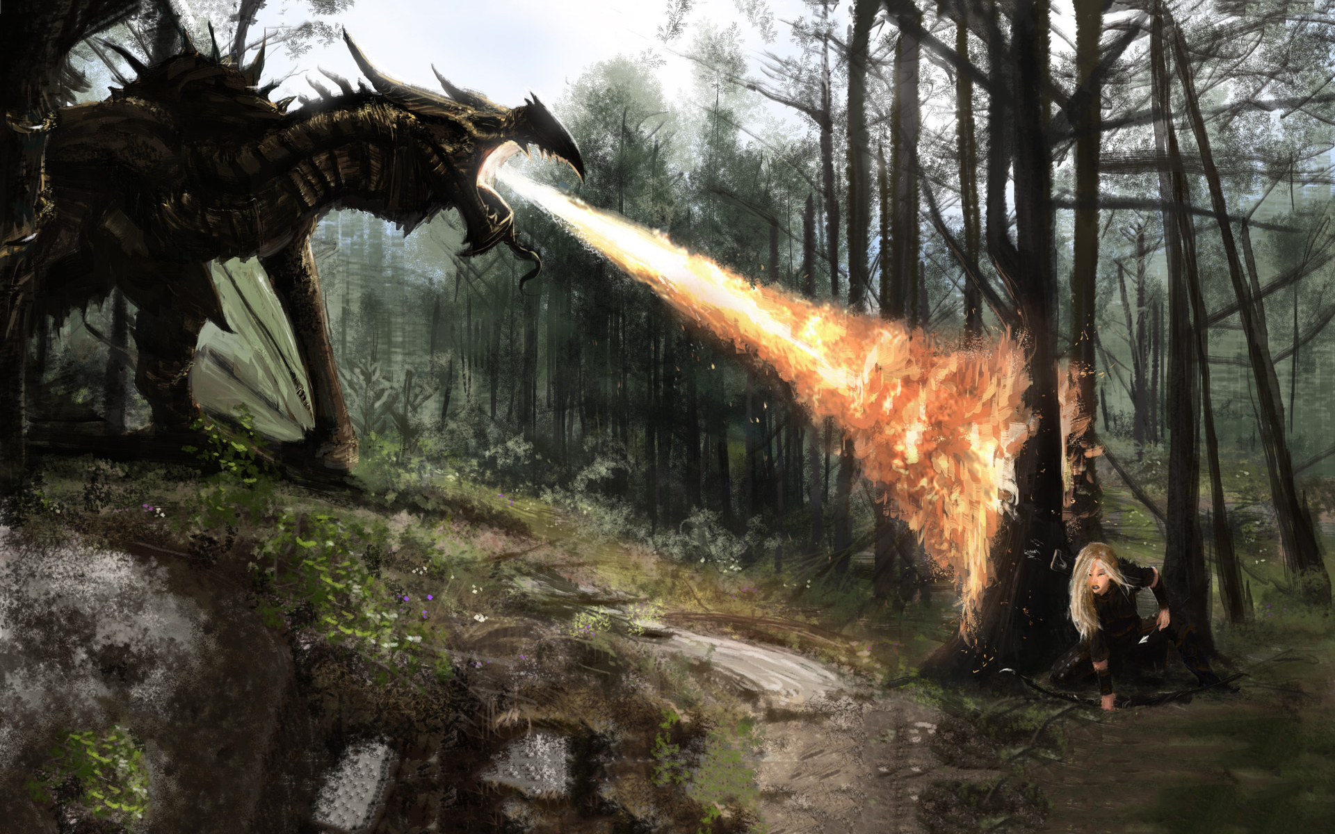 Dragon Fire Skyrim - HD Wallpaper 