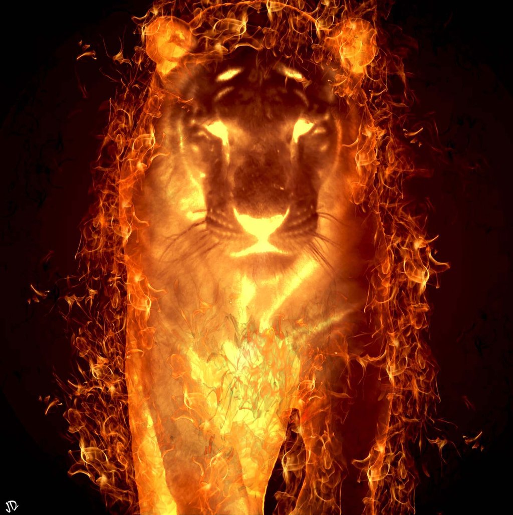 Tiger 3d Free Wallpaper Ipad Awesome Wallpaper Tiger - Jaguar Animal On Fire - HD Wallpaper 