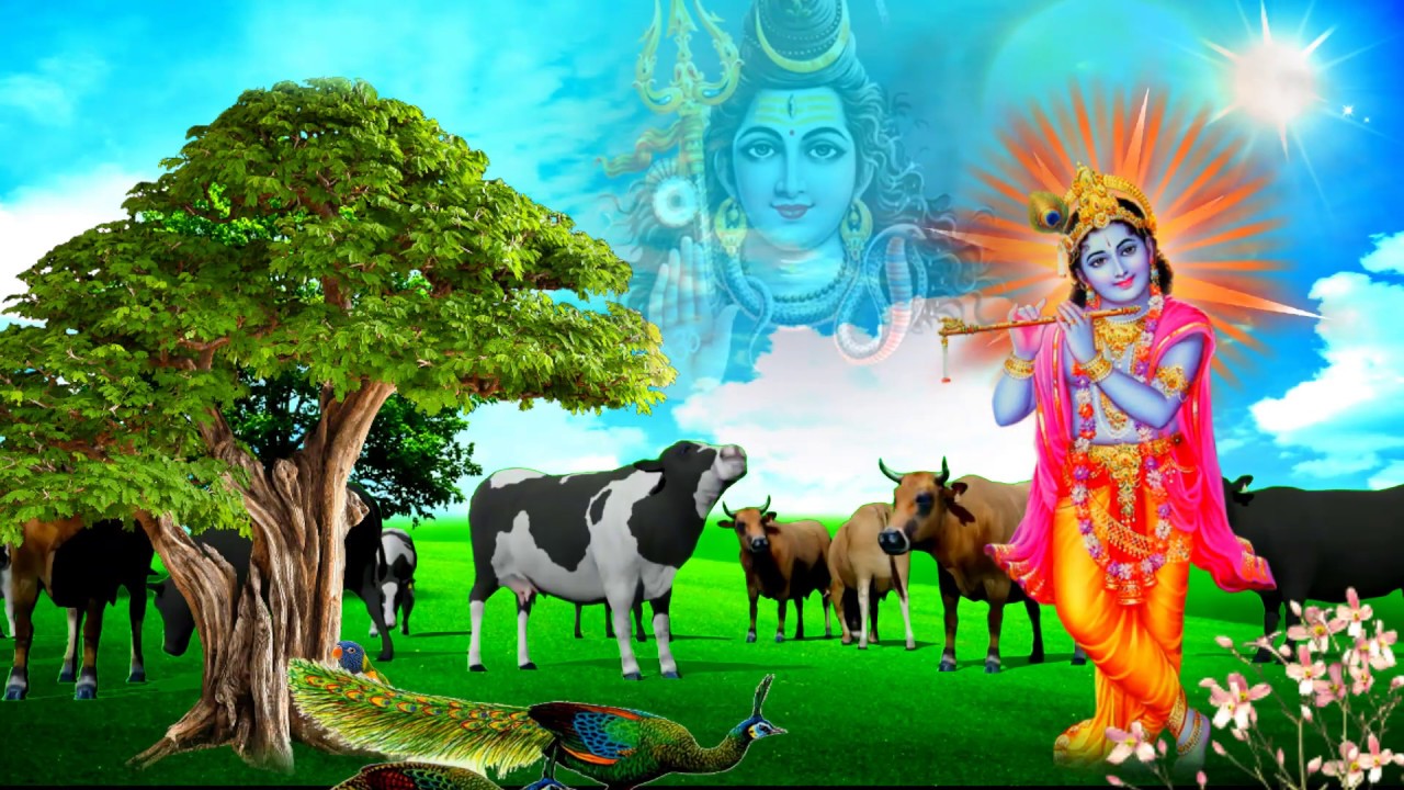 Hd Wallpaper Shri Krishna - 1280x720 Wallpaper 