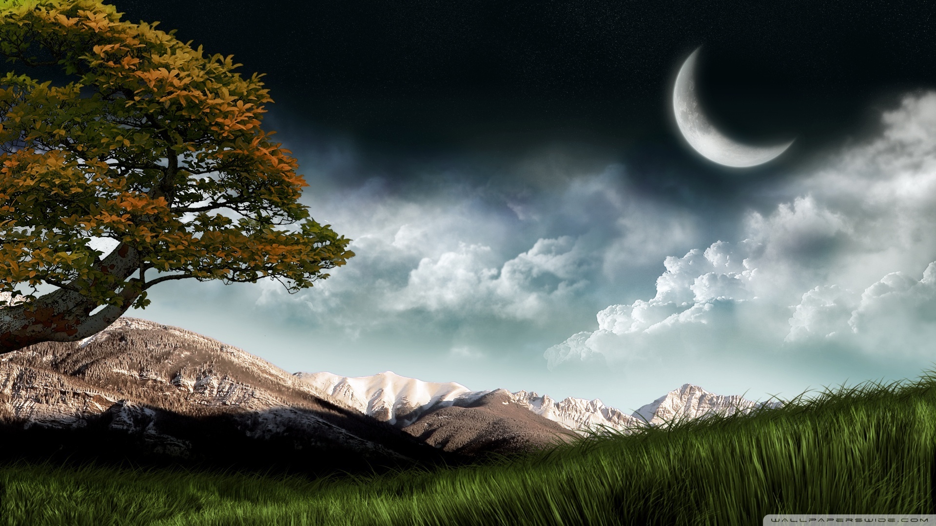 Best Cover Photo For Google Plus - HD Wallpaper 