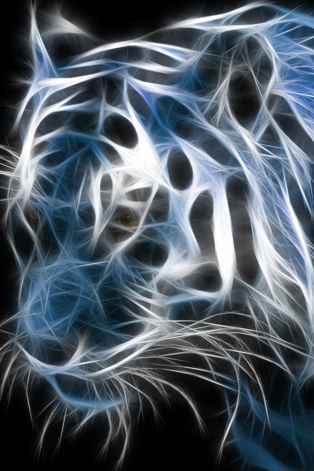 Fire D Tiger Wallpaper Wlid - 3d Wallpaper For Apple Iphone - 640x960 Wallpaper Fire D Tiger Wallpaper Wlid - 3d Wallpaper For Apple Iphone - 640x960 Wallpaper