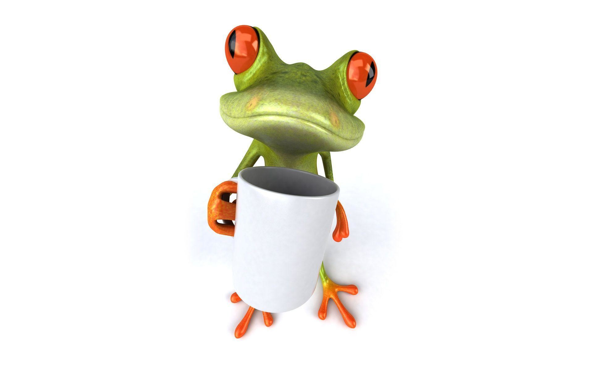 Cute Frog Wallpaper, Wallpaper, Cute Frog Wallpaper - Imagen Png Frog Funny - HD Wallpaper 
