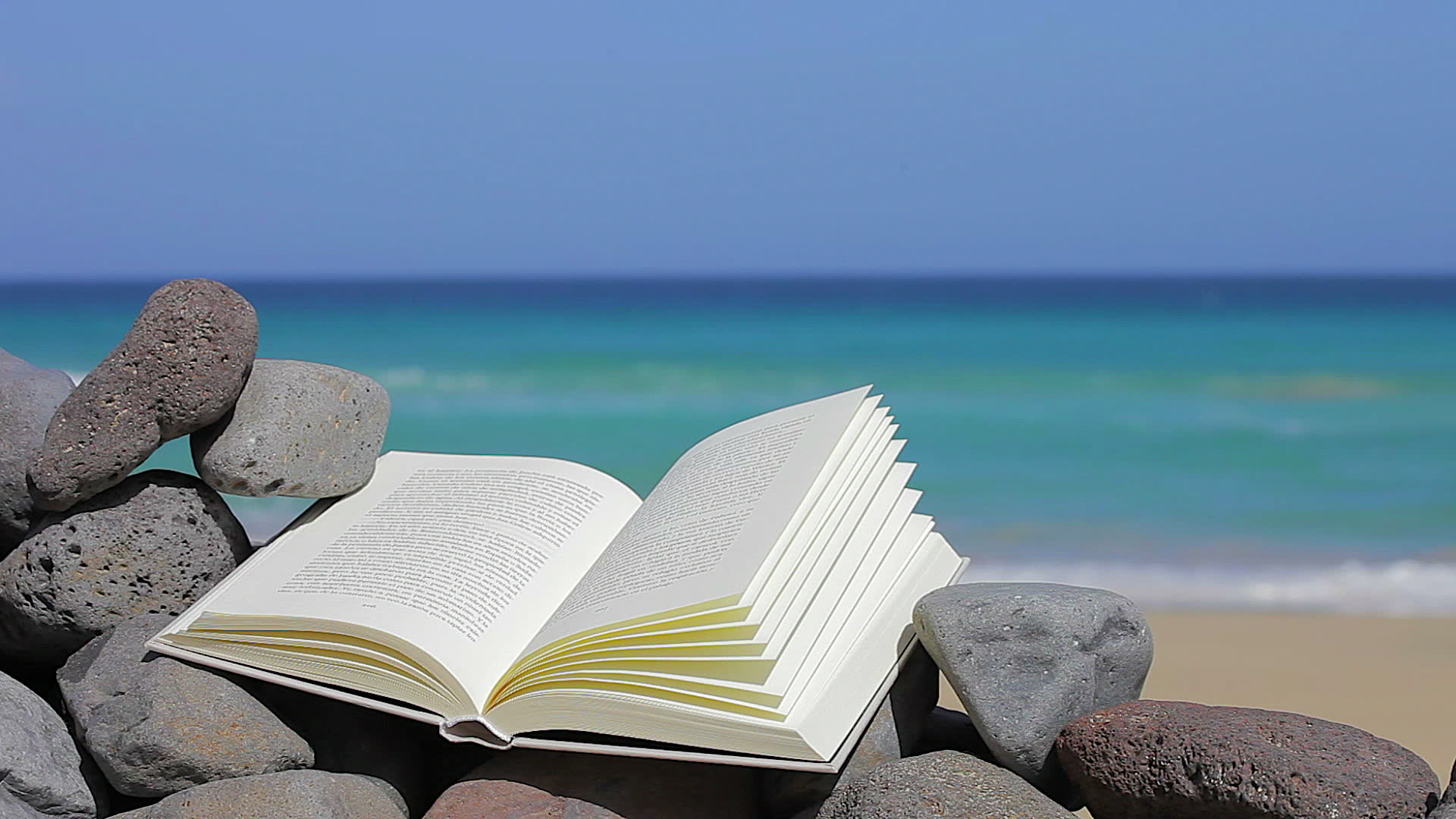 Books On The Beach - HD Wallpaper 