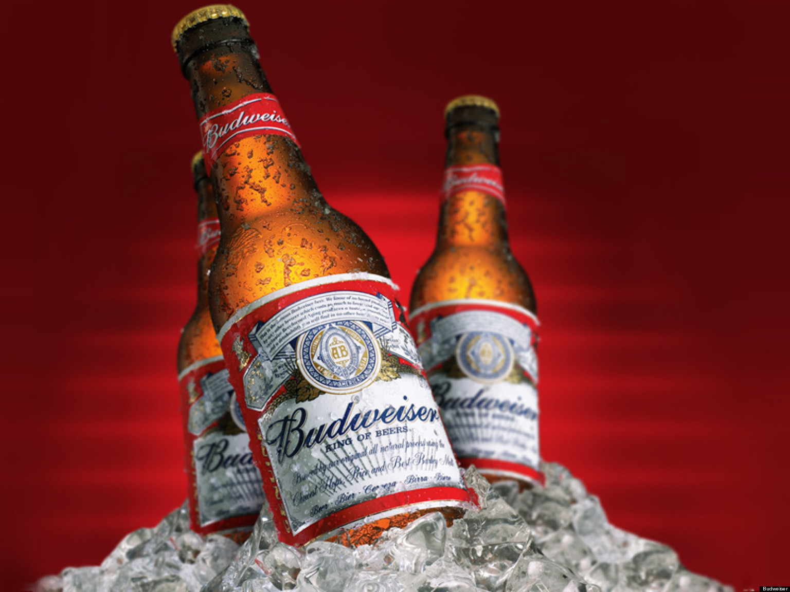 Budweiser - HD Wallpaper 