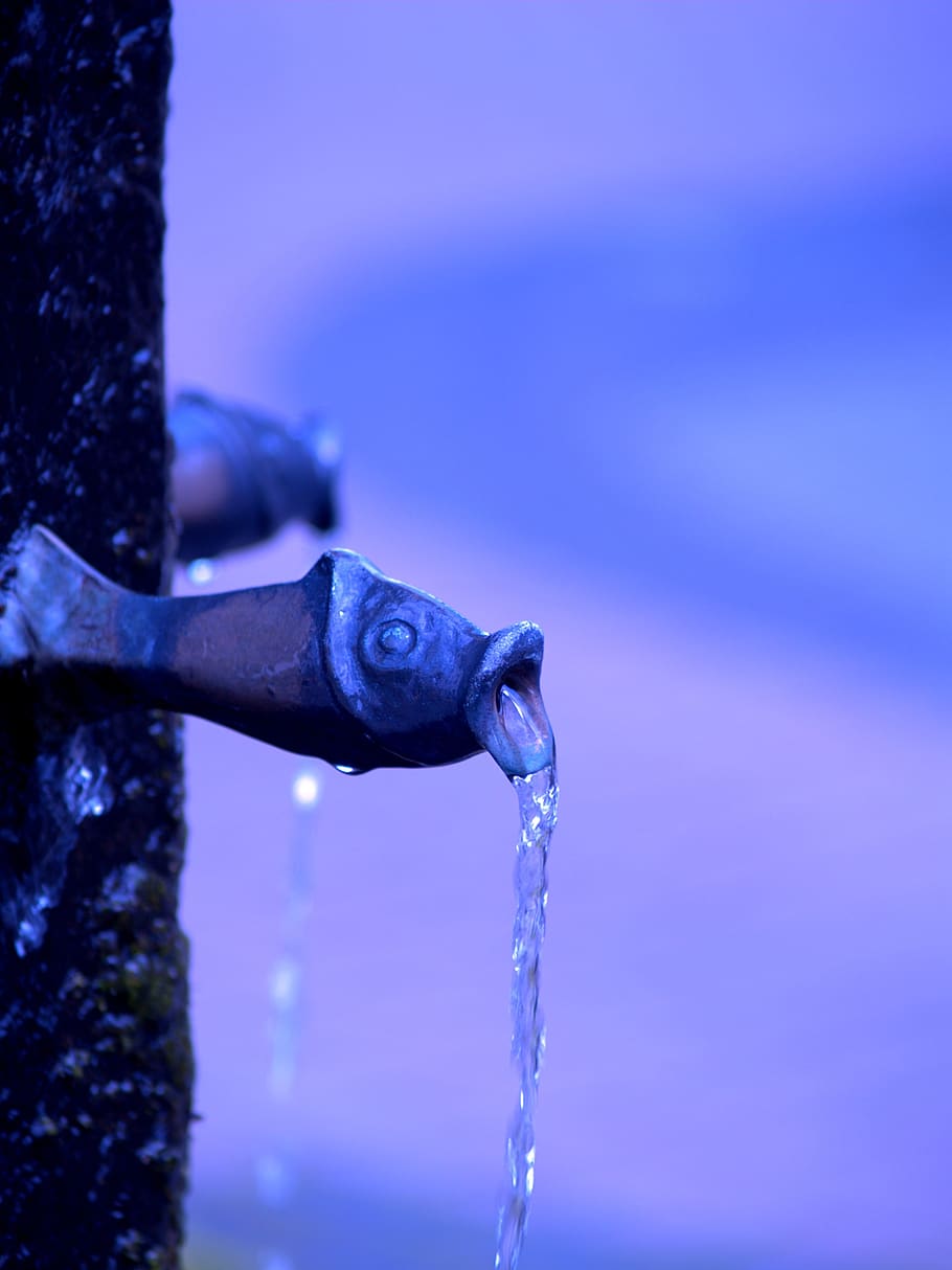 Water, Pearl, Wet, Liquid, Movement, Cold, Drink, Bubble, - Tree - HD Wallpaper 