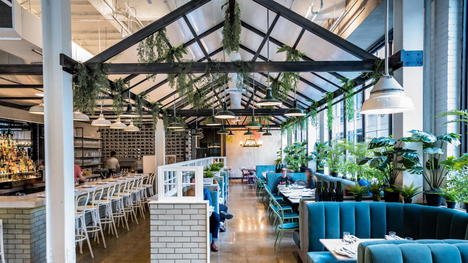 Rosalinda Restaurant Toronto - HD Wallpaper 