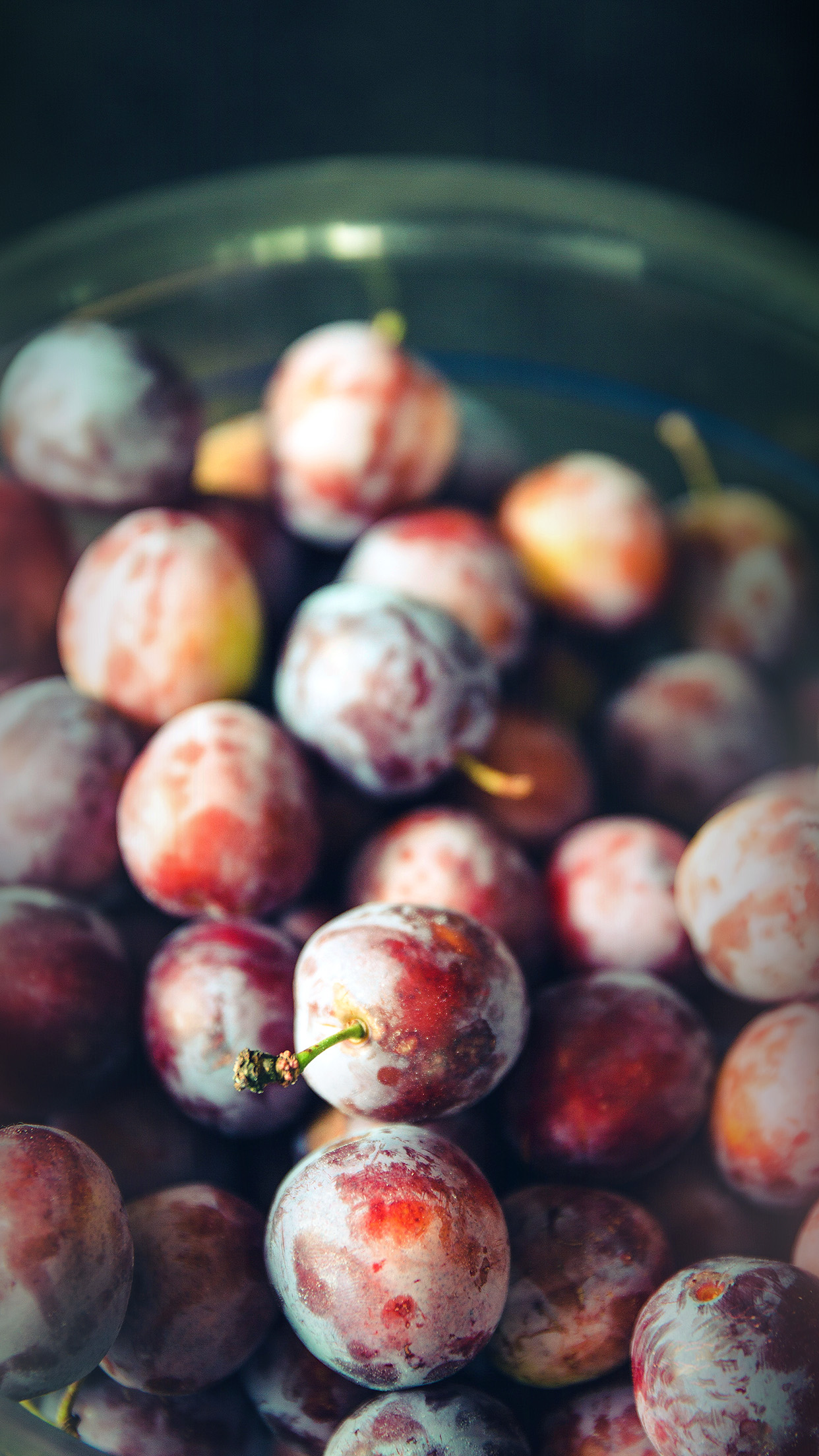 Food - HD Wallpaper 