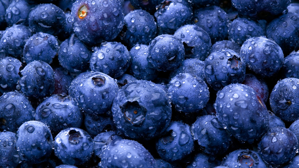 Healthy Eating - Blueberries Full Hd - HD Wallpaper 