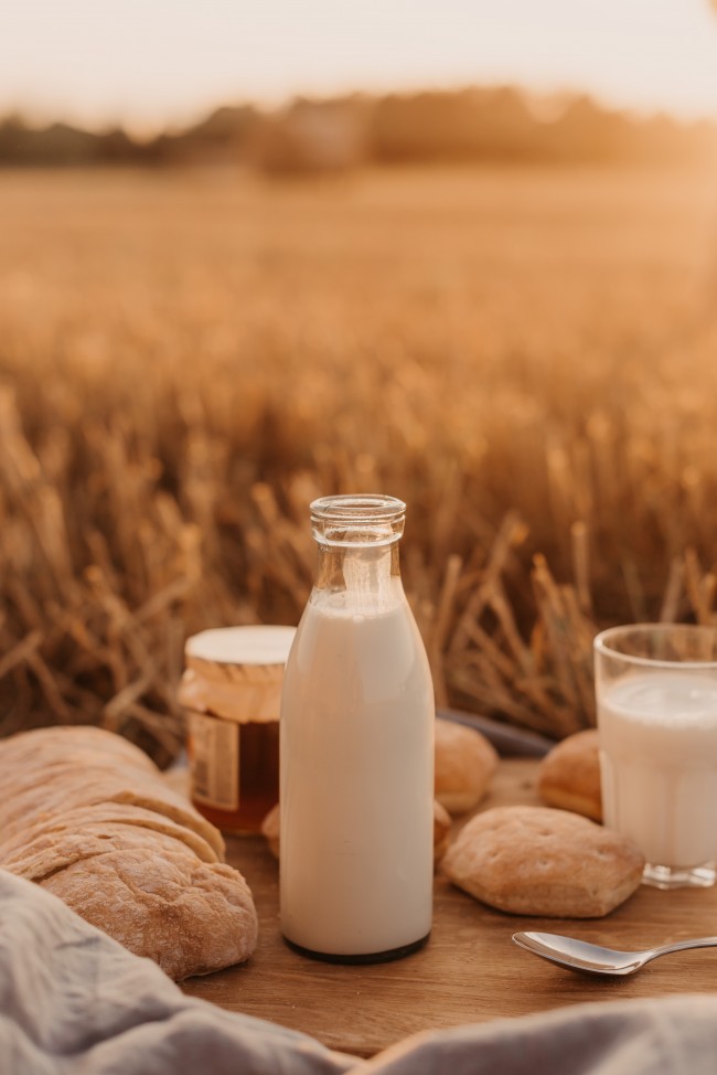 Milk Bottle, Morning, Picnic, Field, Drinks - Background Milk Hd - HD Wallpaper 