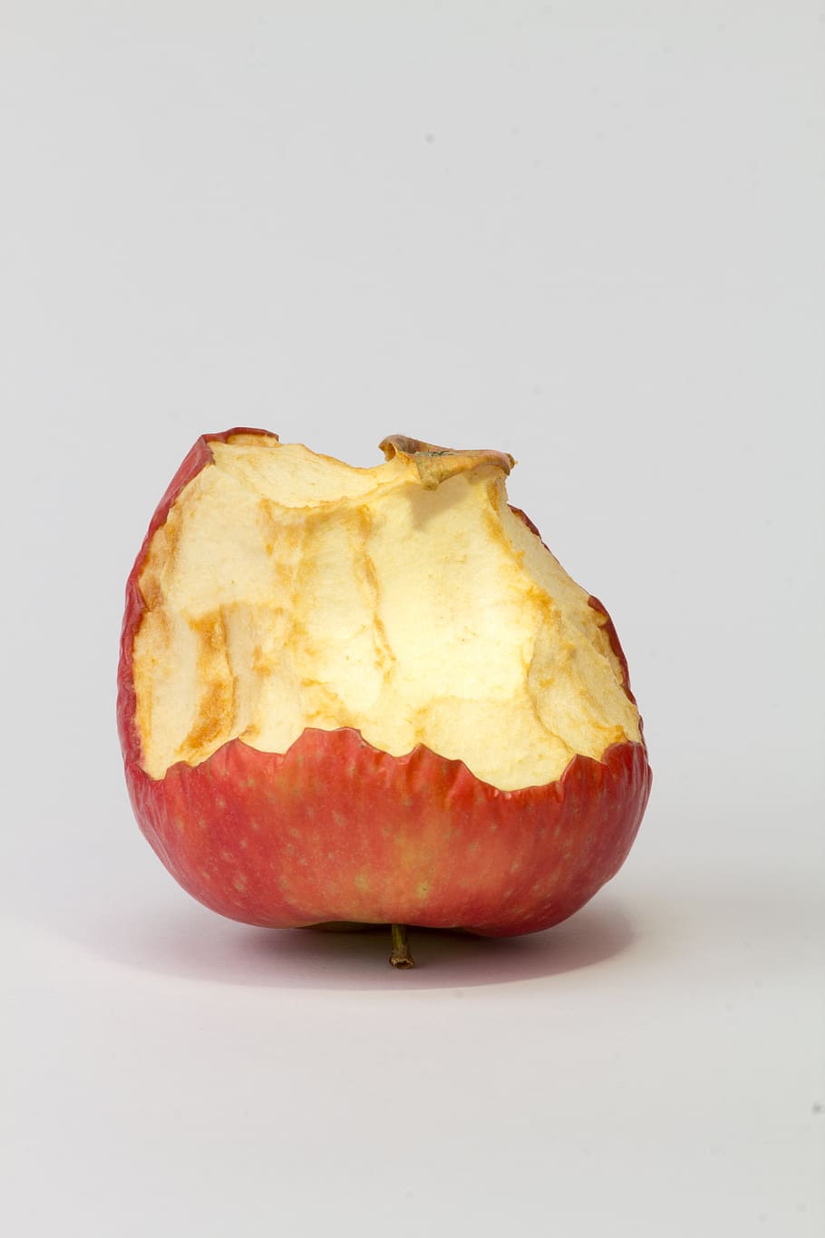 Fruit, Food, Background, Food And Drink, Studio Shot, - Photoshop Cat And Food - HD Wallpaper 