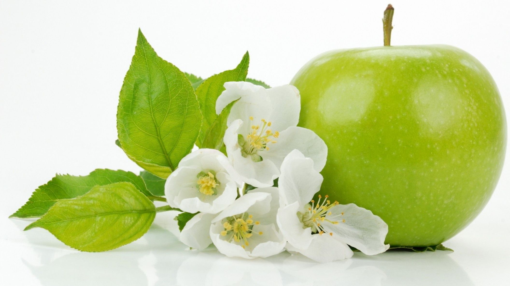 Download Free Hd Green Apple 1080p Wallpaper, Image - Green Apple And White Flower - HD Wallpaper 
