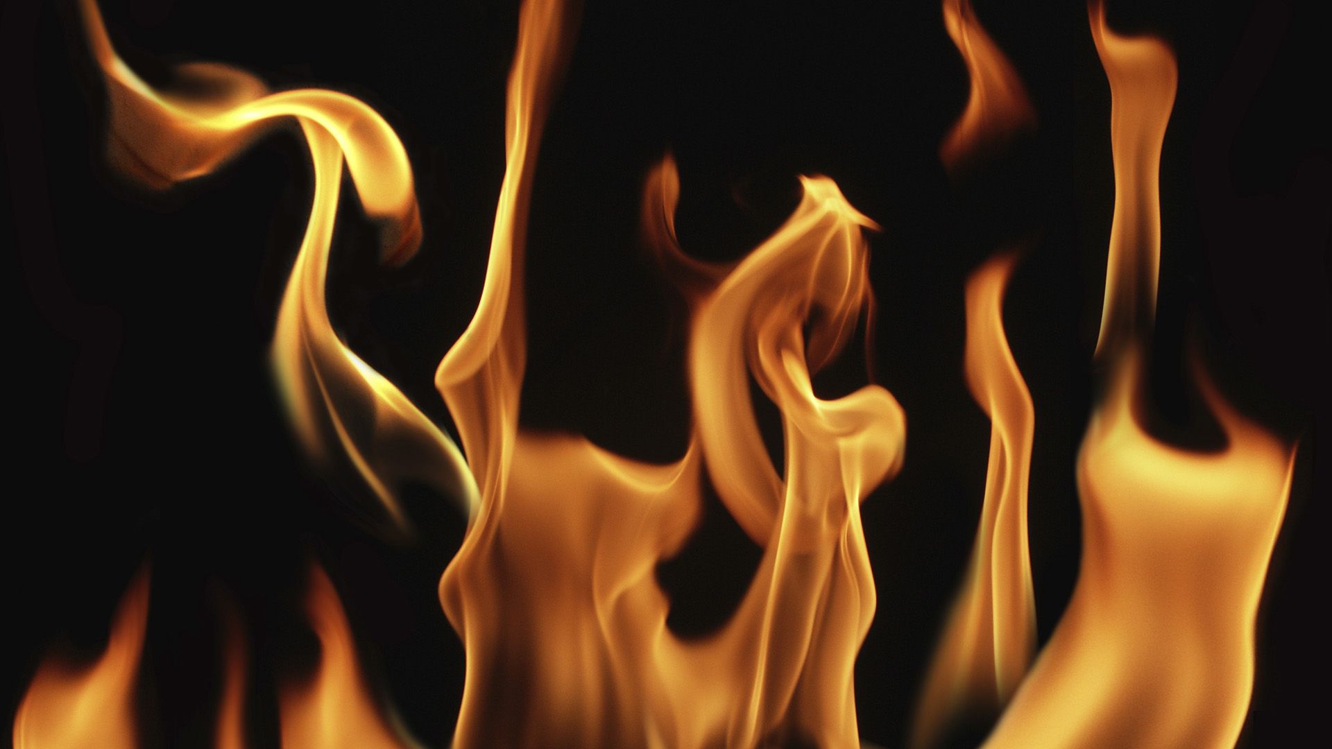 Flames Development Wallpaper - Flames 1080p - HD Wallpaper 