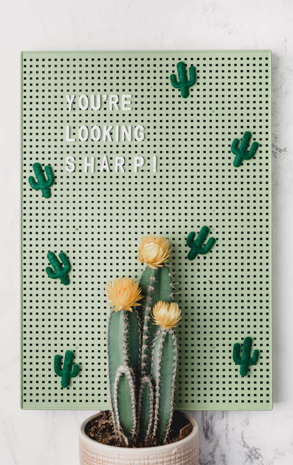 You Re Looking Sharp Cactus Iphone Wallpaper - Мрамор Обои На Телефон - HD Wallpaper 