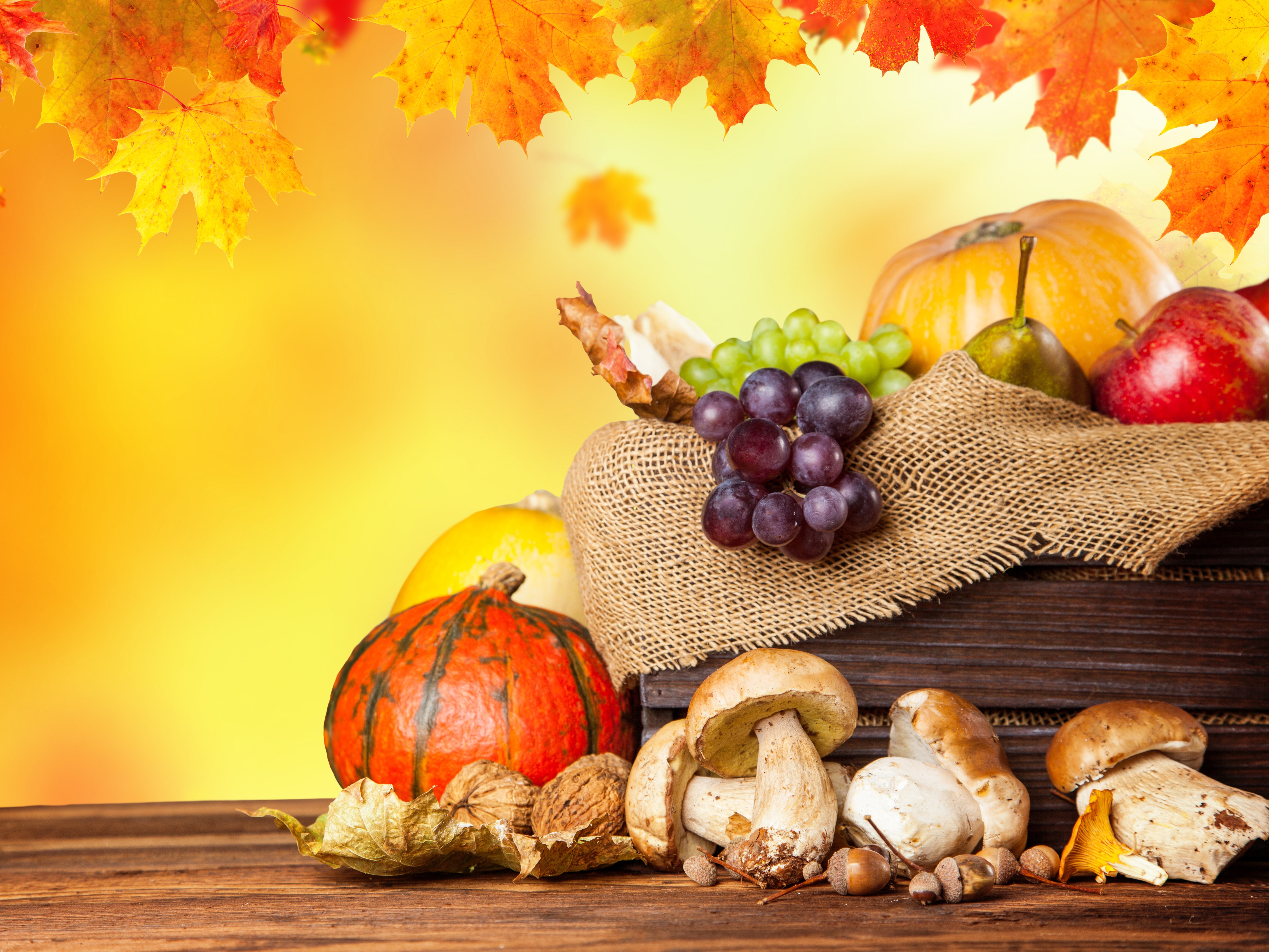 Wallpaper - Autumn Fruits - HD Wallpaper 