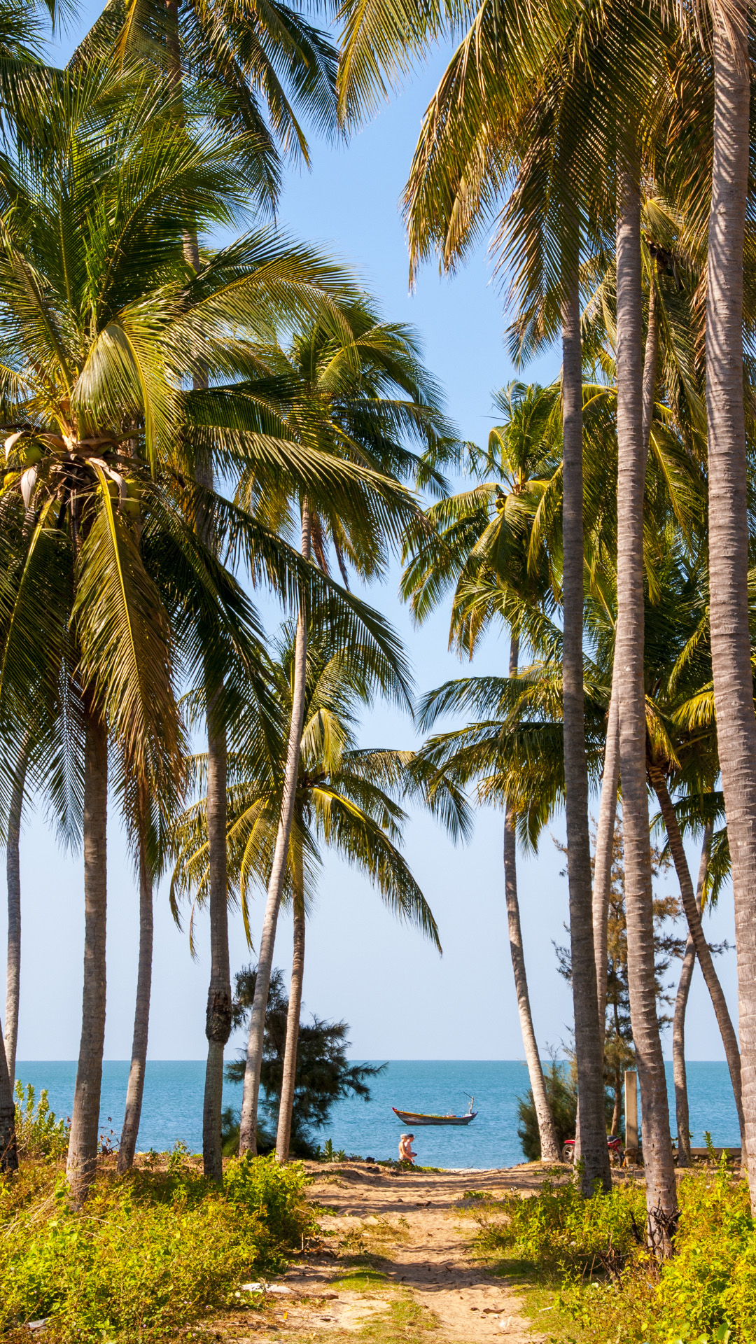 Iphone 8 Wallpaper Tropical - HD Wallpaper 