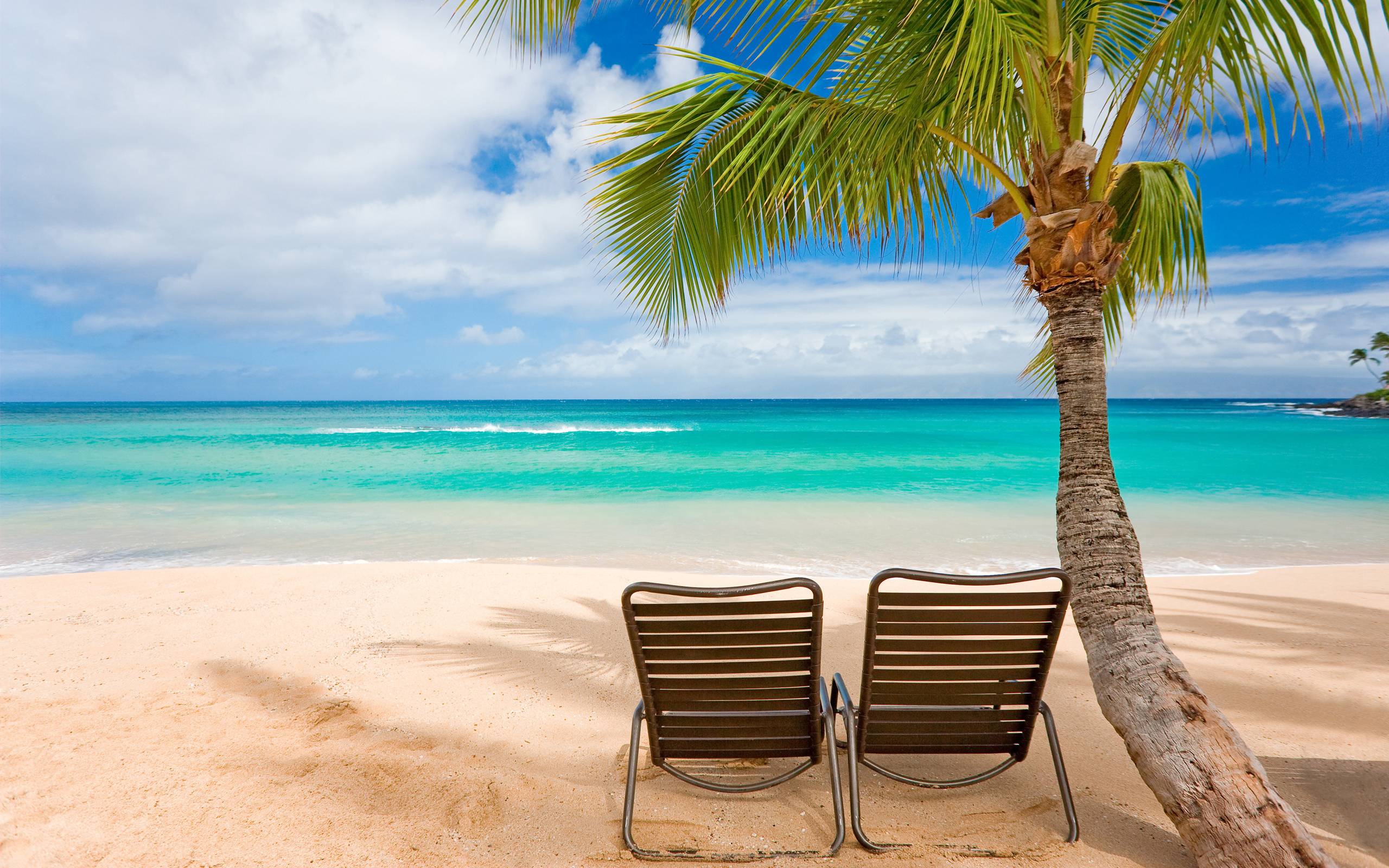 Tropical Wallpapers Hd - HD Wallpaper 