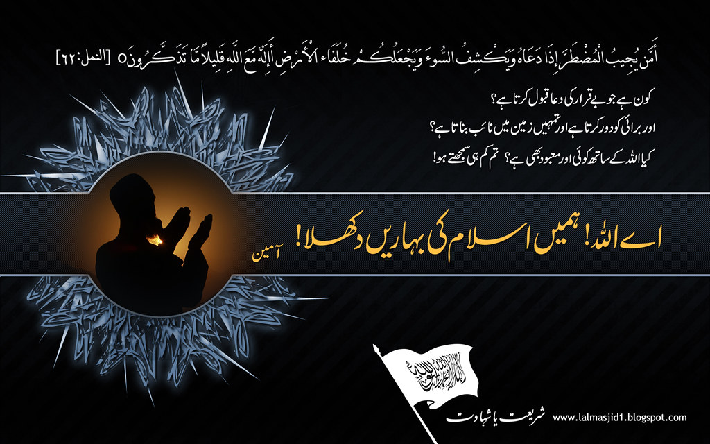 Calligraphy - HD Wallpaper 