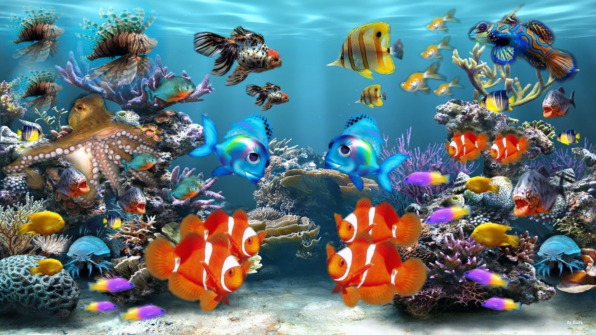 Tropical Photos - HD Wallpaper 