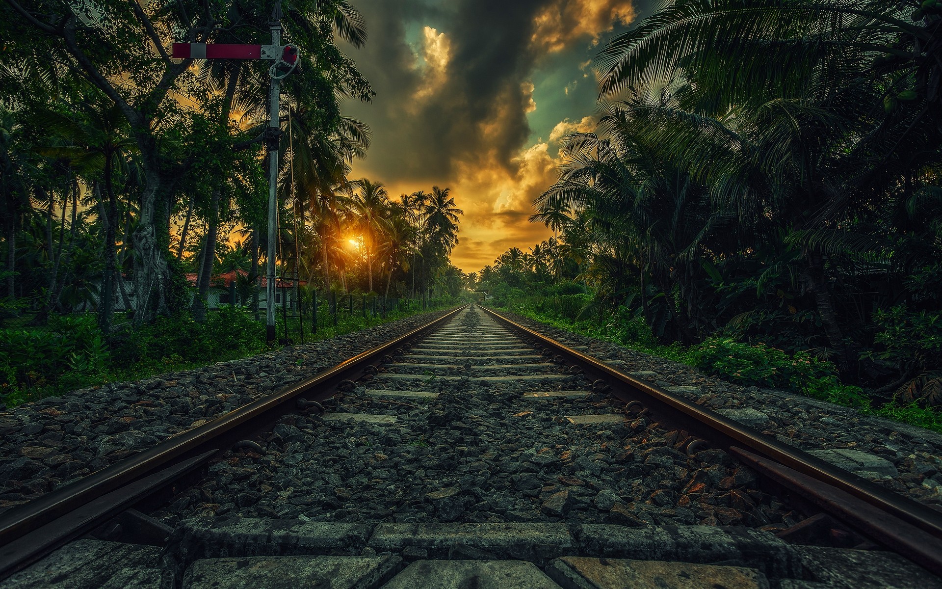 Tropical Wallpaper Hd - HD Wallpaper 