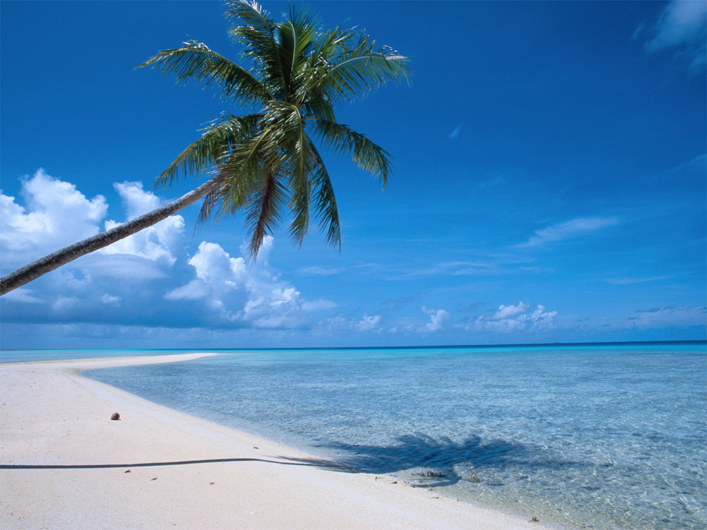 Playa Tropical Wallpaper - Counter Strike Vacation - HD Wallpaper 