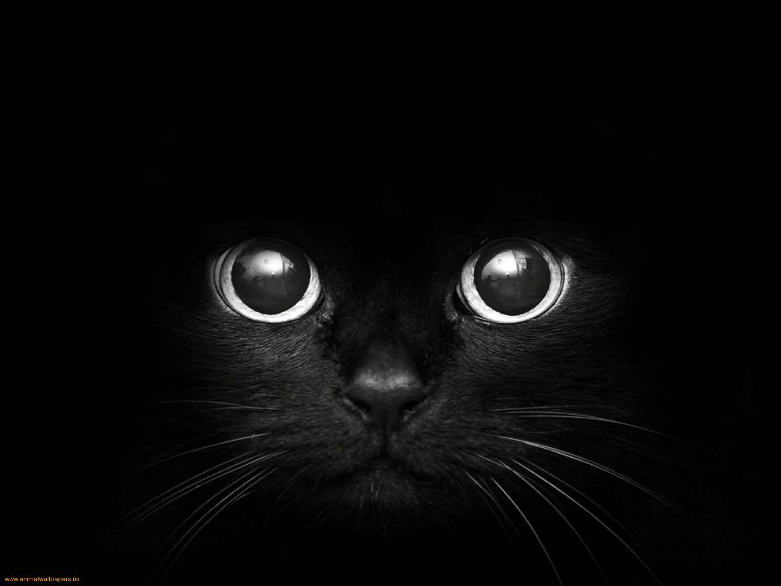 Аллах Обои - HD Wallpaper 