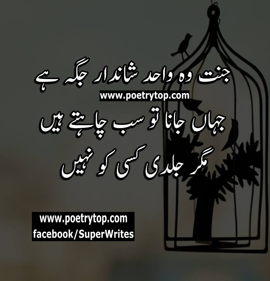Islamic Quotes Urdu Wallpapers - Bird Struggling In A Cage - HD Wallpaper 