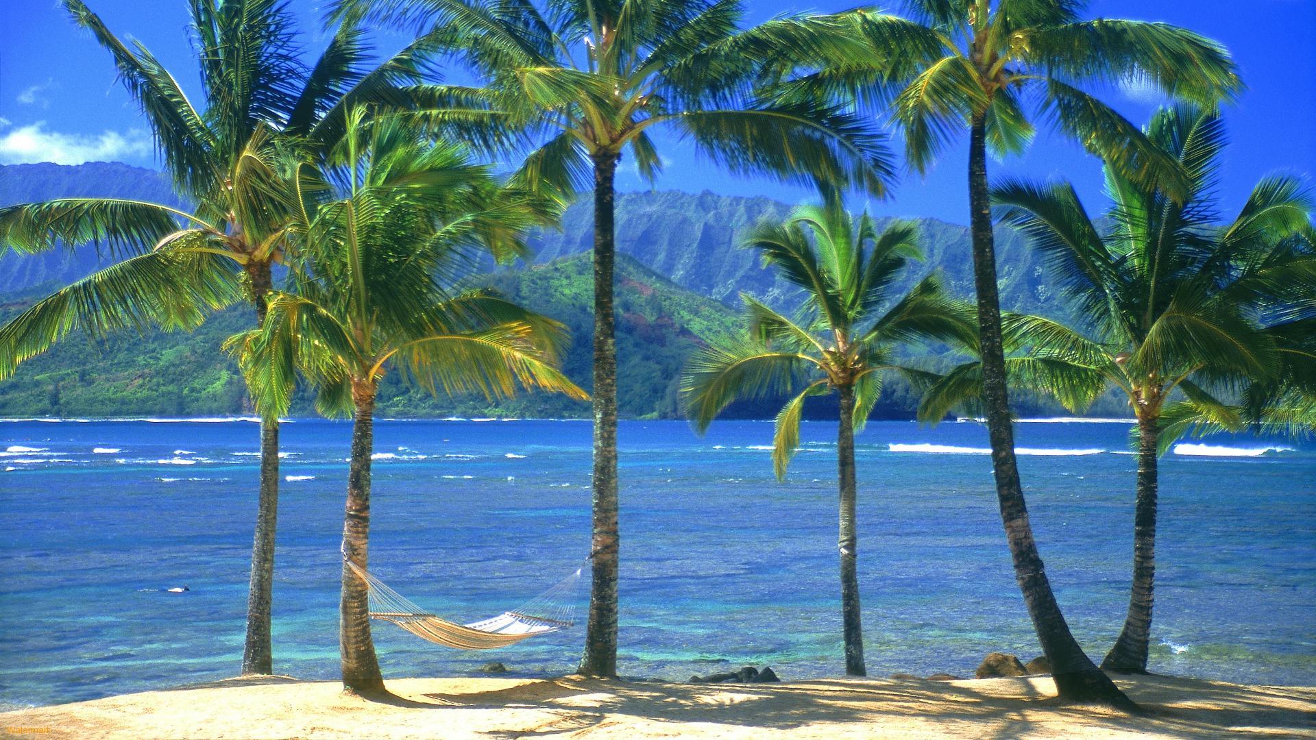 Hd Wallpaper For Seashore - 1920x1080 Wallpaper Hd Wallpaper For Seashore - 1920x1080 Wallpaper