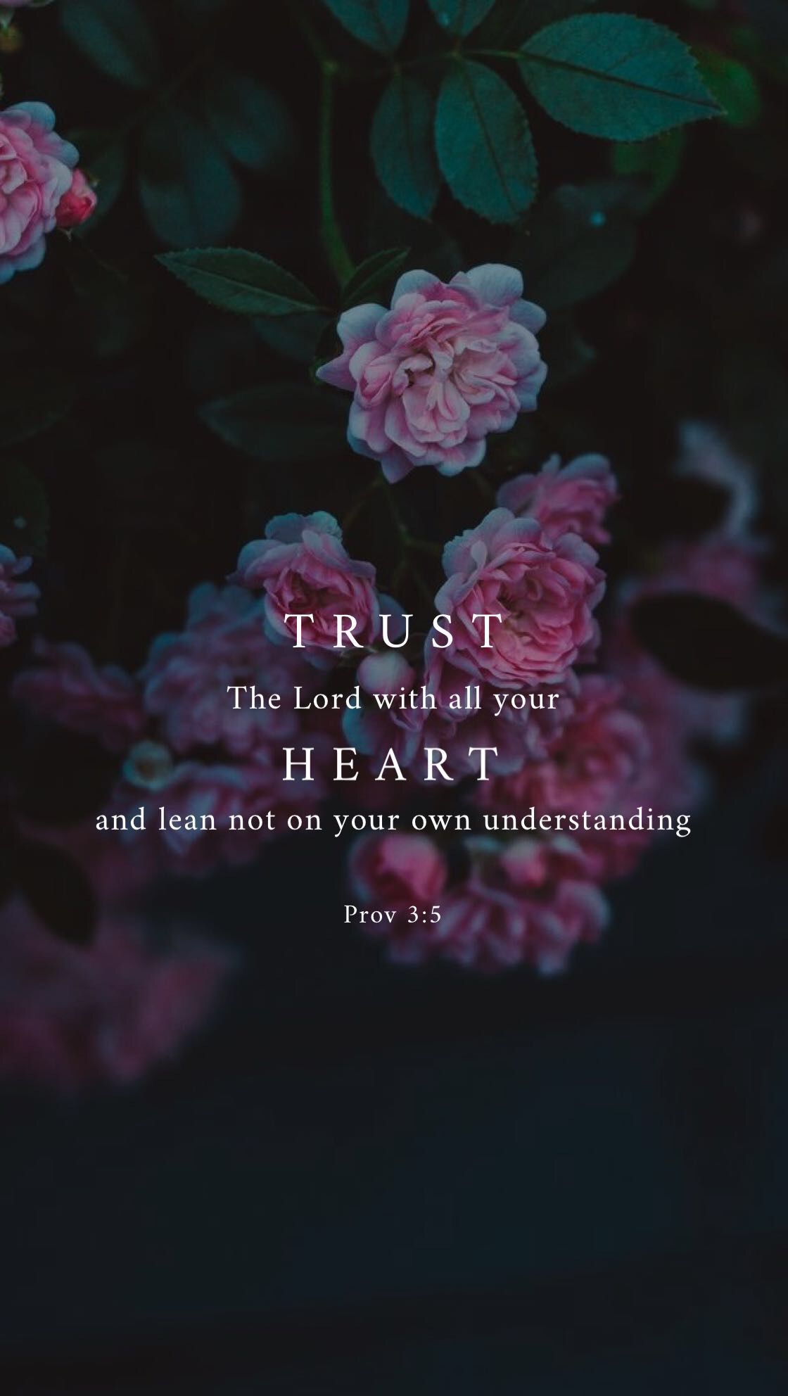 Danger Incorporated - HD Wallpaper 