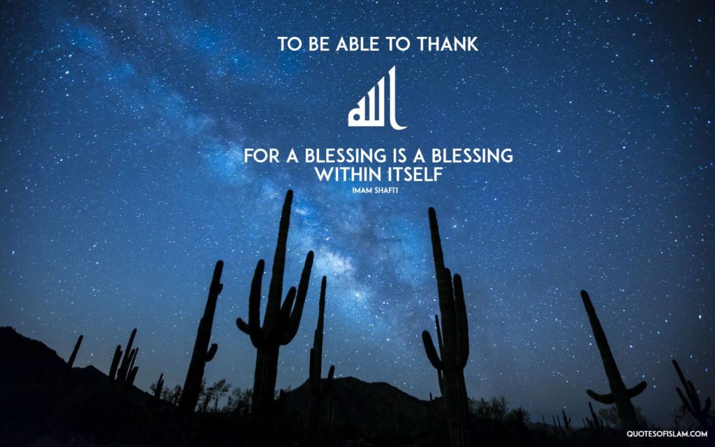 Islamic Wallpapers - Cactus Under The Stars - HD Wallpaper 