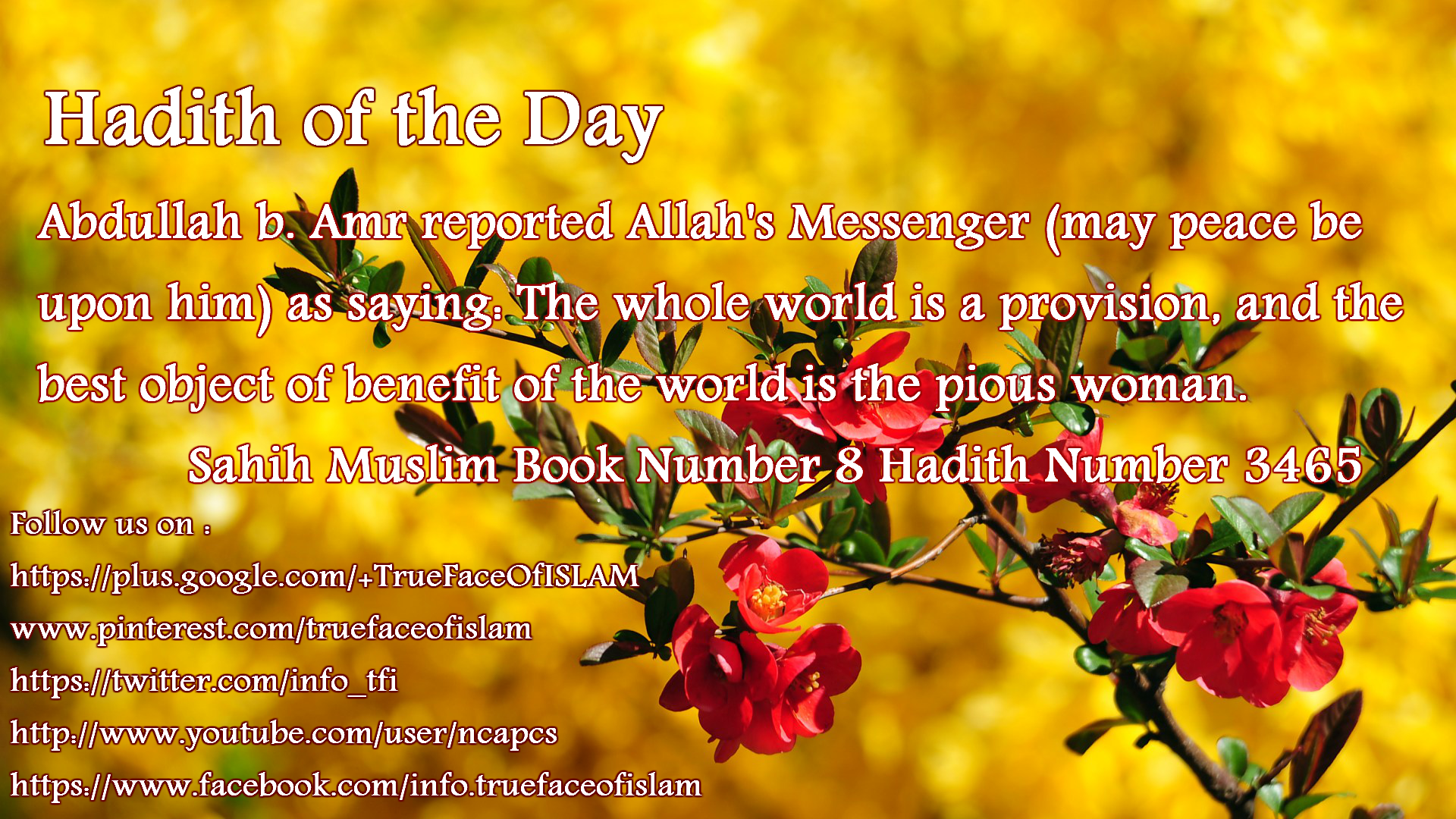 Hadith Of The Day Motion Graphic On Wallpaper Wp2001412 - Desktop Background Desktop Wallpaper Hd - HD Wallpaper 