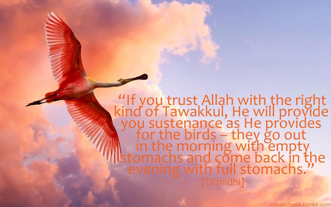 If You Trust Allah With The Right Kind Of Tawakkul - HD Wallpaper 