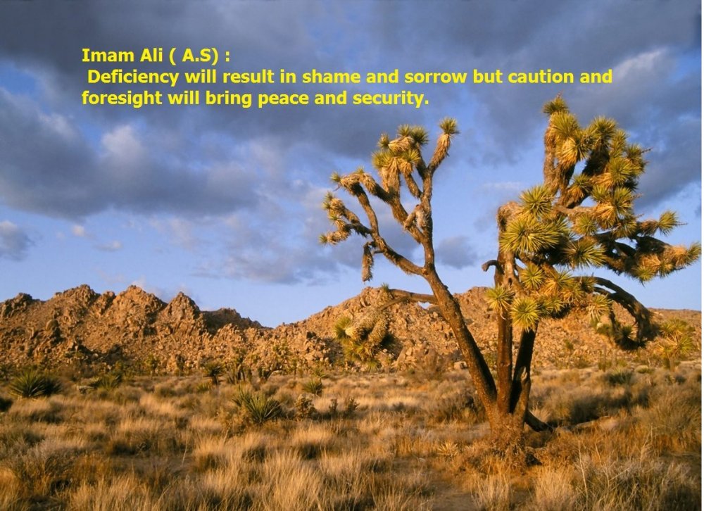 California Desert Region Raining - HD Wallpaper 