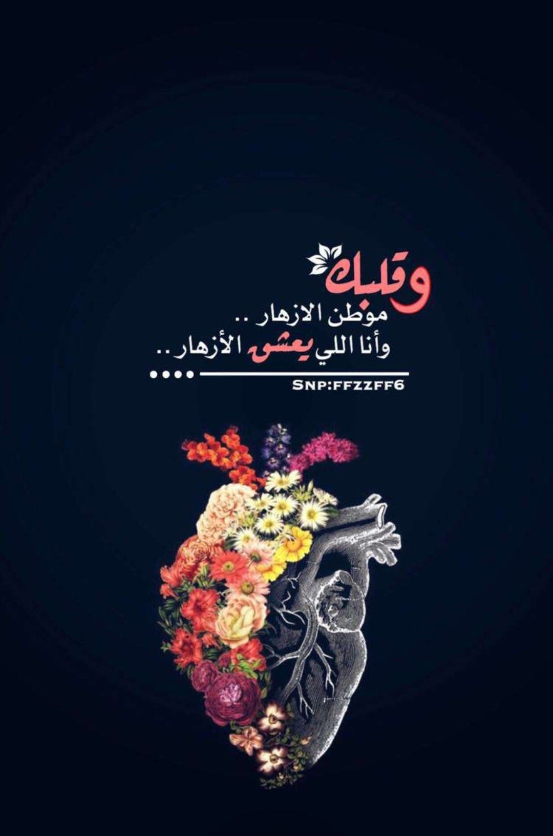 كلمات قوية و مستفزة - HD Wallpaper 