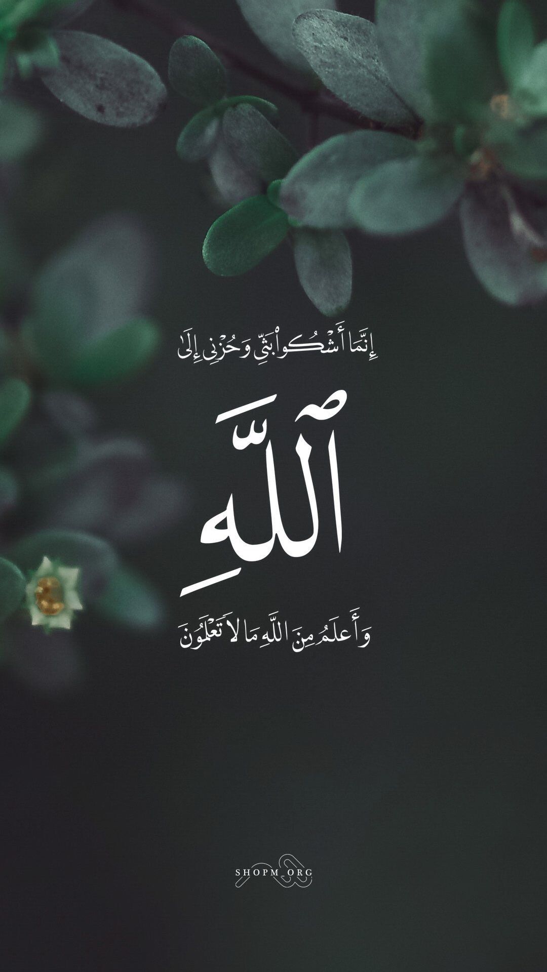 إنما أشكو بثى وحزنى إلى الله وأعلم من الله مالا تعلمون - HD Wallpaper 