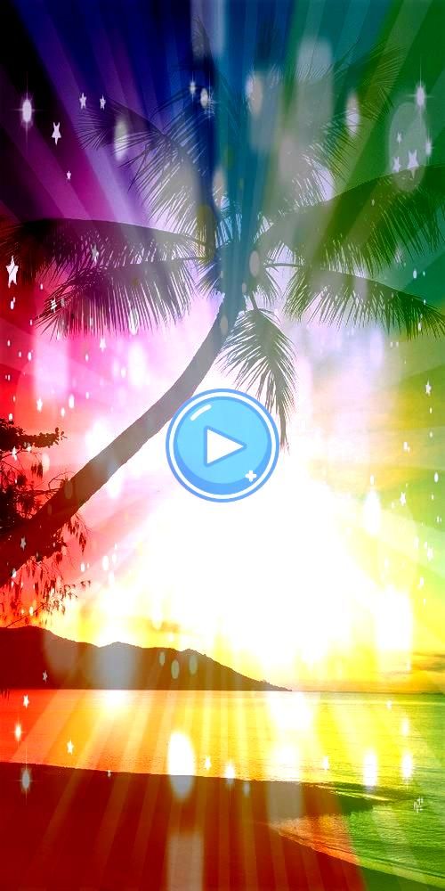 Attalea Speciosa - HD Wallpaper 