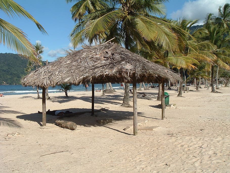 Trinidad, Ocean, Beach, Thatched Roof, Land, Sand, - Beach - HD Wallpaper 