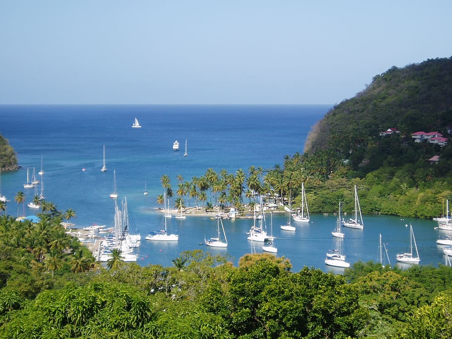Sailboats Near Island And Trees, St Lucia, Caribbean, - Saint Lucia - HD Wallpaper 