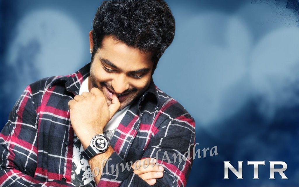 Jr Ntr In Brindavanam - HD Wallpaper 