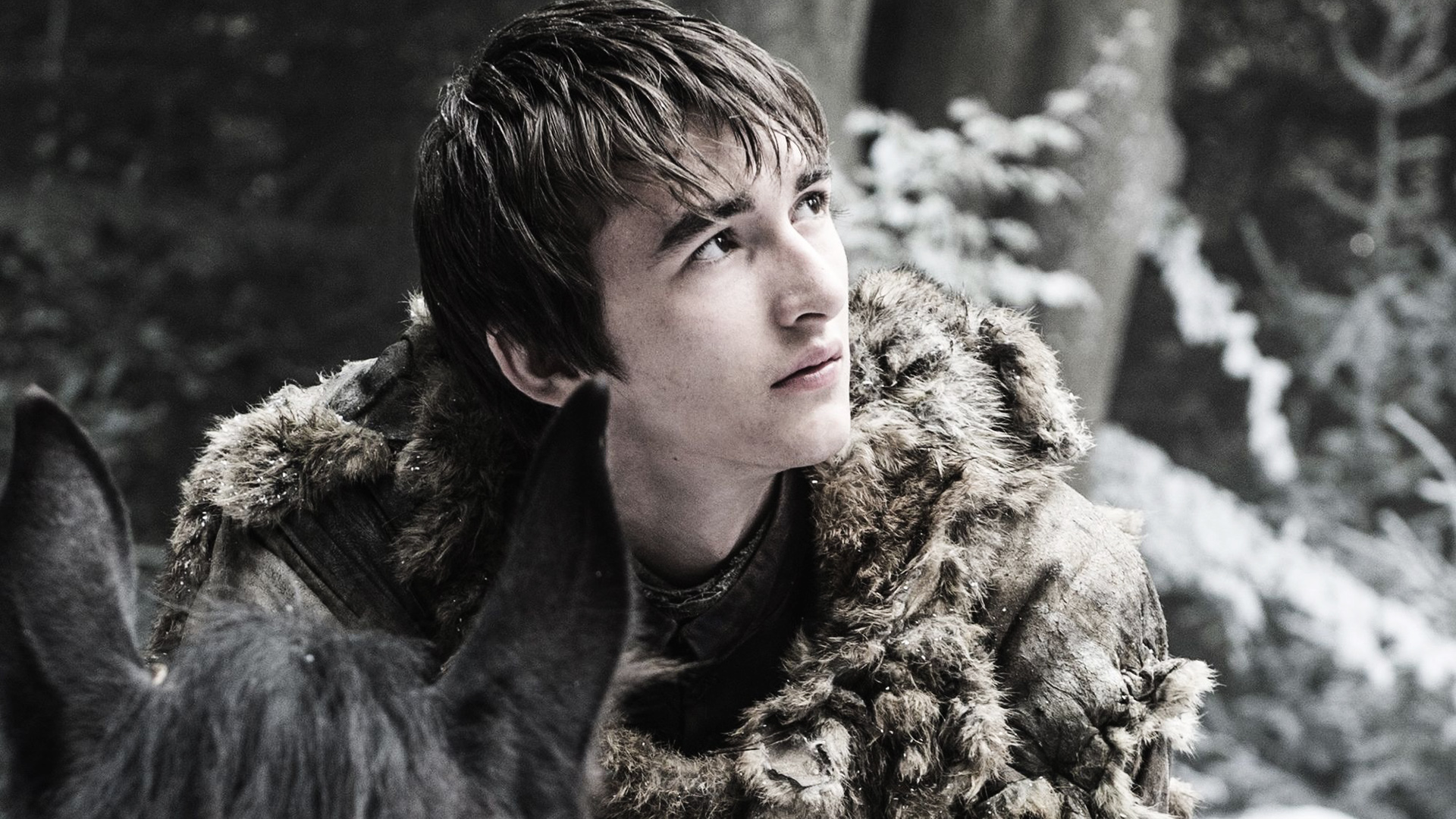 Bran Stark - HD Wallpaper 