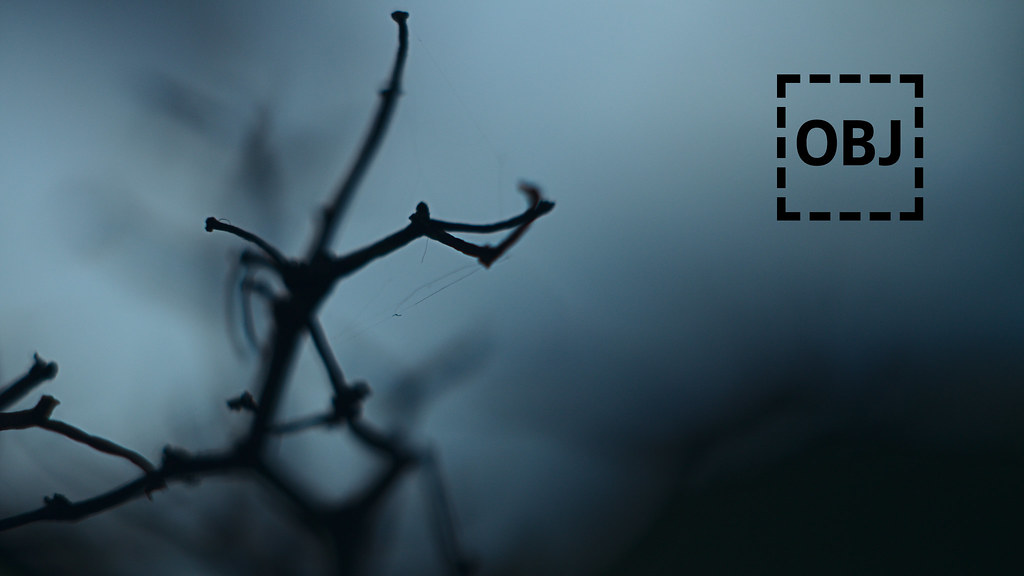 Twig - HD Wallpaper 