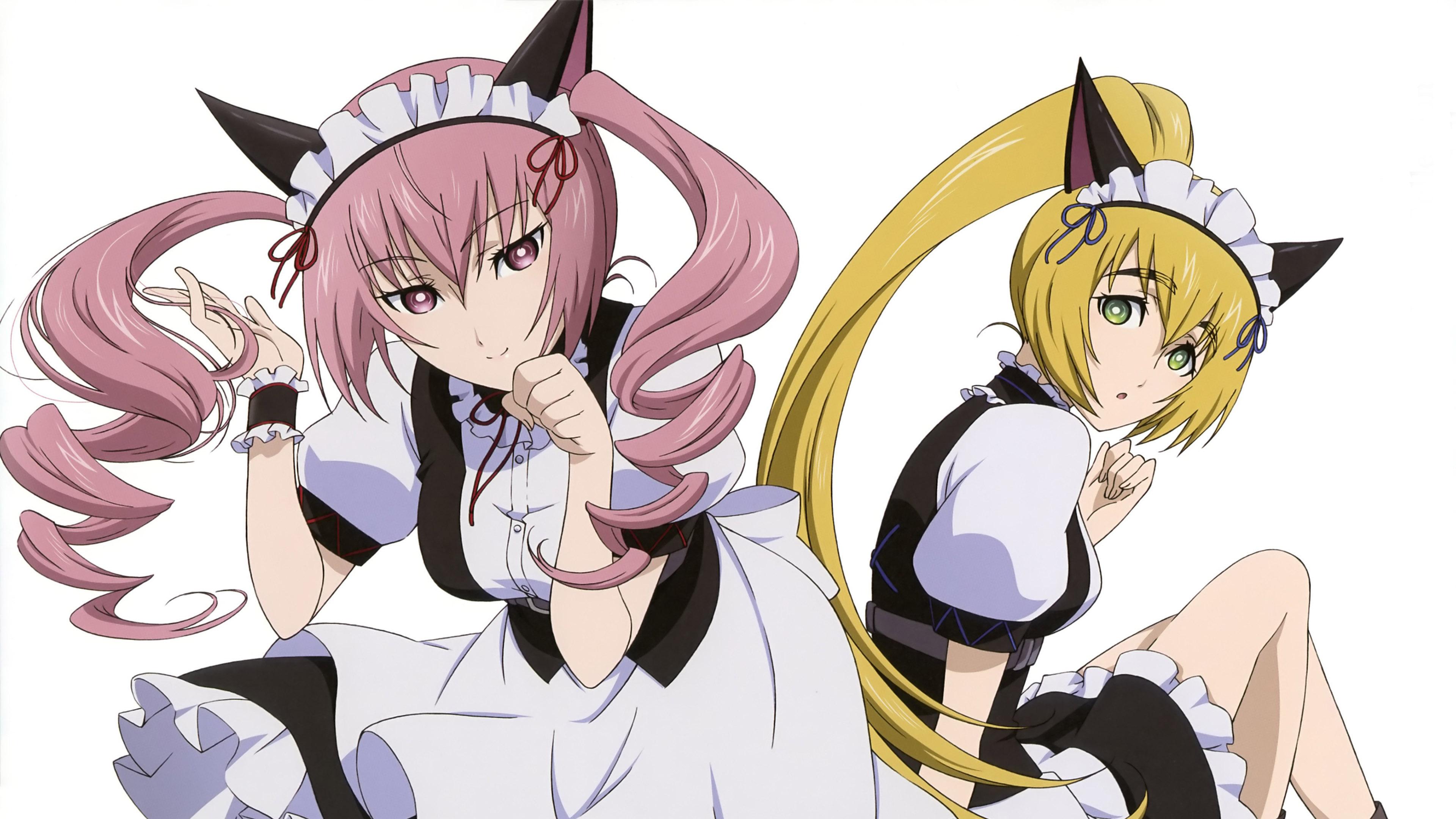 Hd Rumiho And Suzuha In Steins - Faris Chan Steins Gate - HD Wallpaper 